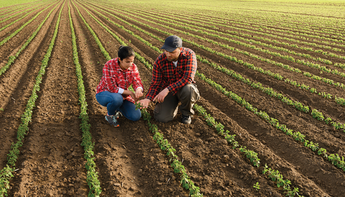 Tarımsal Danışmanlık (Saha Takibi)