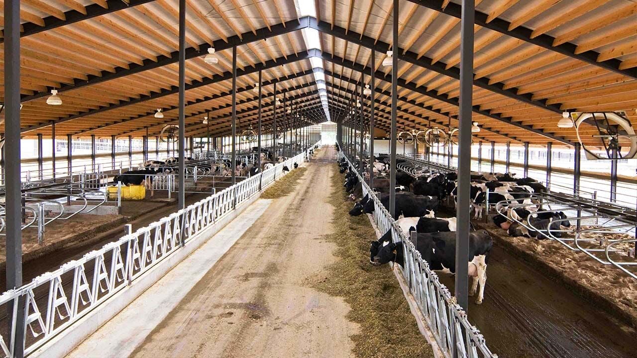 Çiftlik Projelendirme ve Fizibilite